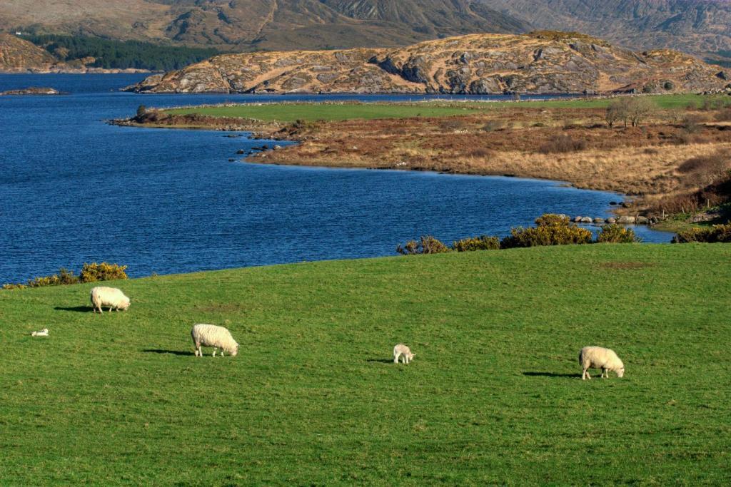 Lakelands Farm House Ξενοδοχείο Γουότερβιλ Εξωτερικό φωτογραφία